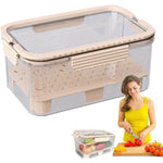 Cutie pentru Depozitare Alimente, Flippy, de Uz Casnic, 2 Compartimente, Zona pentru Gheata, Mentinere Fresh, cu Maner,