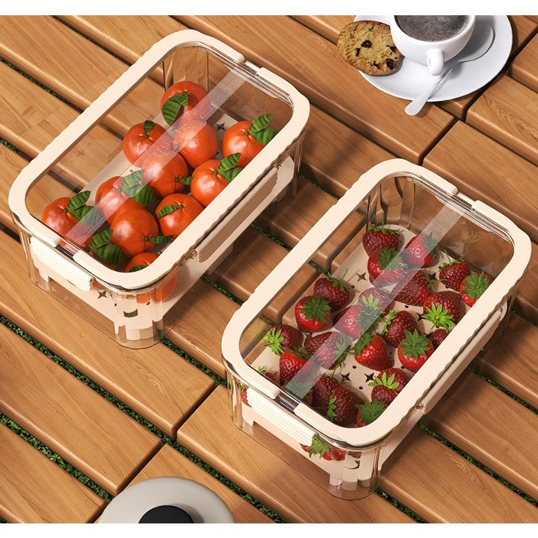 Cutie pentru Depozitare Alimente, Flippy, de Uz Casnic, 2 Compartimente, Zona pentru Gheata, Mentinere Fresh, cu Maner,