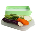 Recipient de Depozitare Alimente, Flippy, Etans, pentru Frigider, din Plastic, Mentinere Proaspata, Reutilizabil,