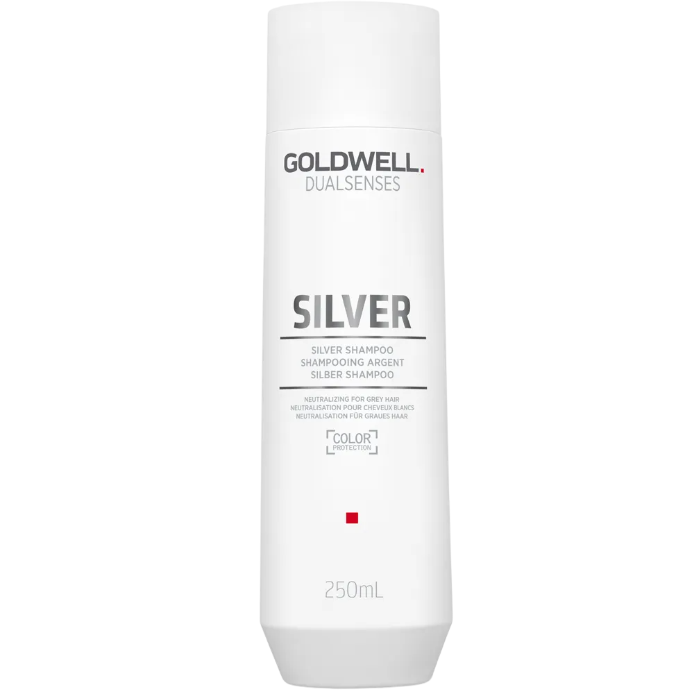 Goldwell, Dualsenses Silver, Șampon pentru păr, Anti gri, 250 ml