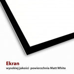 Ecran electric 16:9 119" 264x147cm cu telecomandă FS-119 16:9