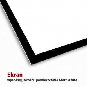 Ecran electric 16:9 119" 264x147cm cu telecomandă FS-119 16:9