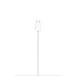 Încărcător MagSafe (2m)