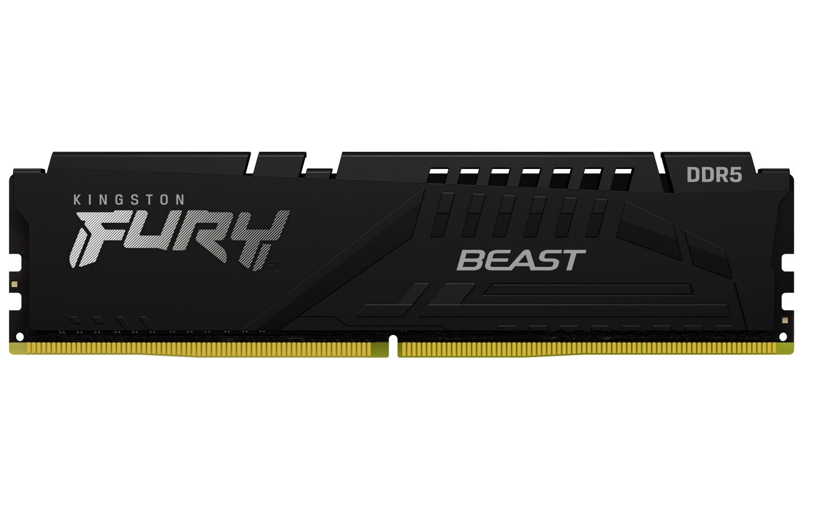 Memorie DDR5 Fury Beast 16GB (1*16GB)/6000 CL30 EXPO neagră