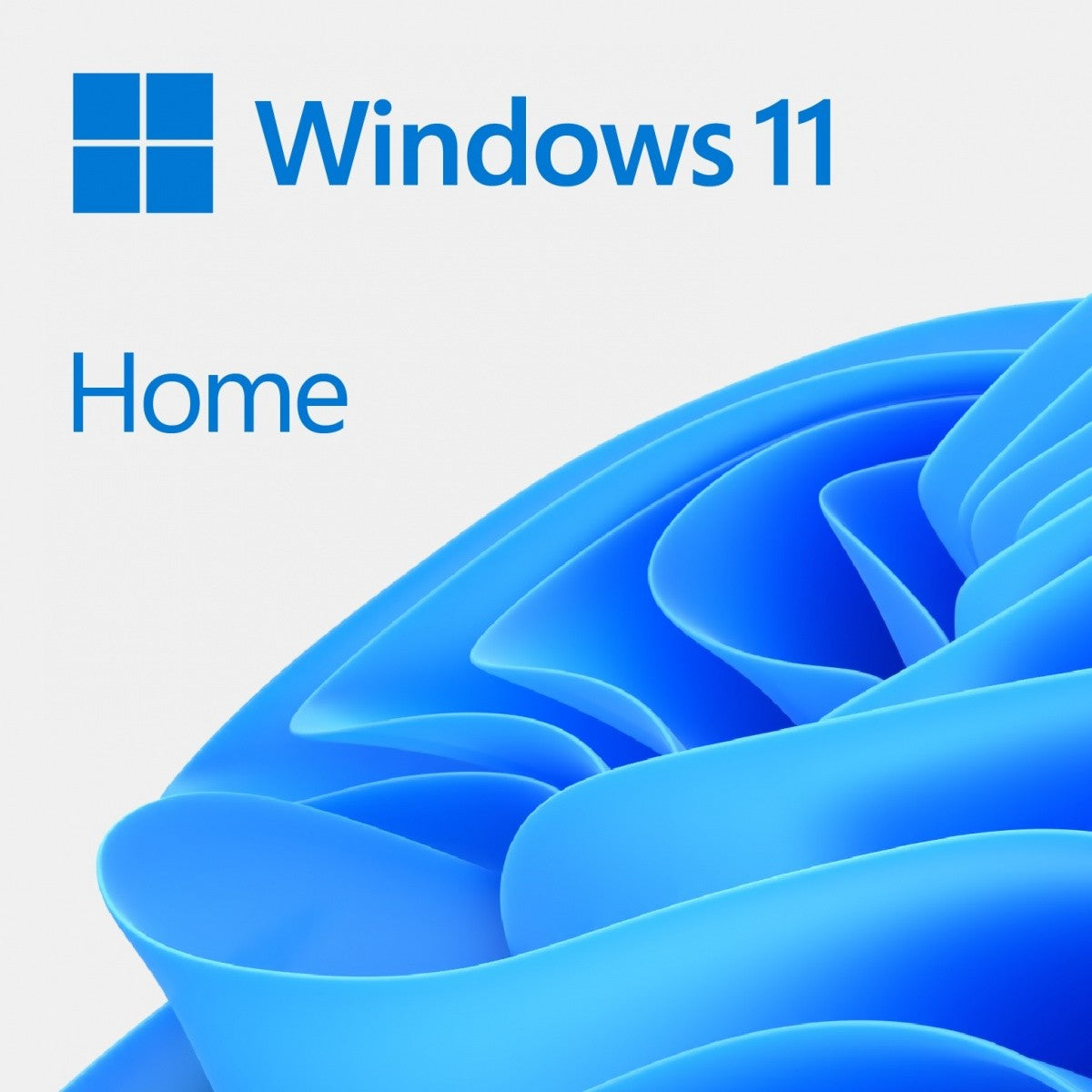 DVD OEM Windows 11 Home PL x64 KW9-00648