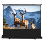 Ecran de proiecție MC-213 de 100 inch, 16:10, independent/de podea, suprafață alb mat