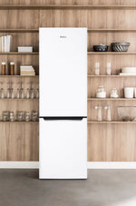 Frigider-congelator FK2995.2FT(E)