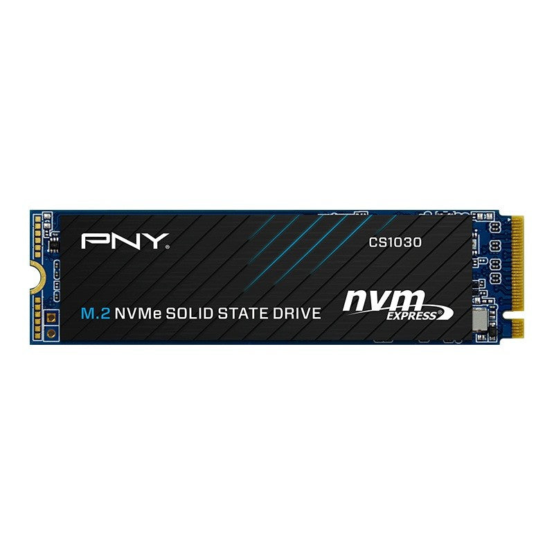 Disk SSD 250 GB M.2 2280 CS1030 M280CS1030-250-RB