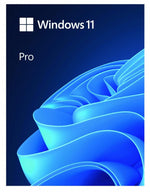 Unitate flash USB Windows Pro 11 pe 64 de biți ENG HAV-00163