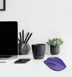 Mouse wireless WM-500 albastru