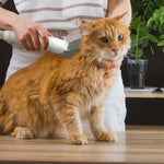 Trusă de îngrijire pentru animale de companie LX052