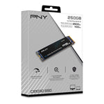 Disk SSD 250 GB M.2 2280 CS1030 M280CS1030-250-RB
