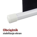 Ecran electric 16:9 119" 264x147cm cu telecomandă FS-119 16:9