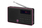 Radio Pliszka USB, FM negru