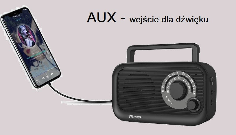 Text alternativ imagine
