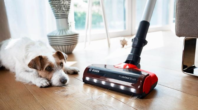 Text alternativ imagine