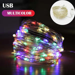 Instalatie Craciun, 2 metri, 20 LED-uri, multicolor, telecomanda 8 functii, USB, fir cupru, liniar, interior/exterior,
