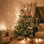 Instalatie Craciun, 55 m, 550 Led-uri ,Liniara, Alb cald, 8 jocuri de lumini, Transformator, Interconectabila,