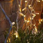 Instalatie Craciun, Tip Perdea, IP44, 6 m x 3 m, 480 LED-uri, Alb Cald, cu 8 jocuri de lumini, 31 V, 9W,