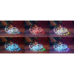 Instalatie de Craciun,10 metri,100 LED-uri,telecomanda 32 de functii,multicolor RGB,USB,tub