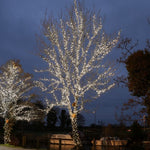 Instalatie de Craciun Liniara Yoto, 22 m, din care 1 m Prelungitor 220V, 300 LED, 8 jocuri de lumini, Controler,