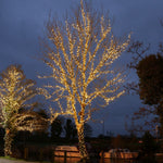 Instalatie de Craciun Liniara Yoto, 22 m, din care 1 m Prelungitor 220V, 300 LED, 8 jocuri de lumini, Controler,