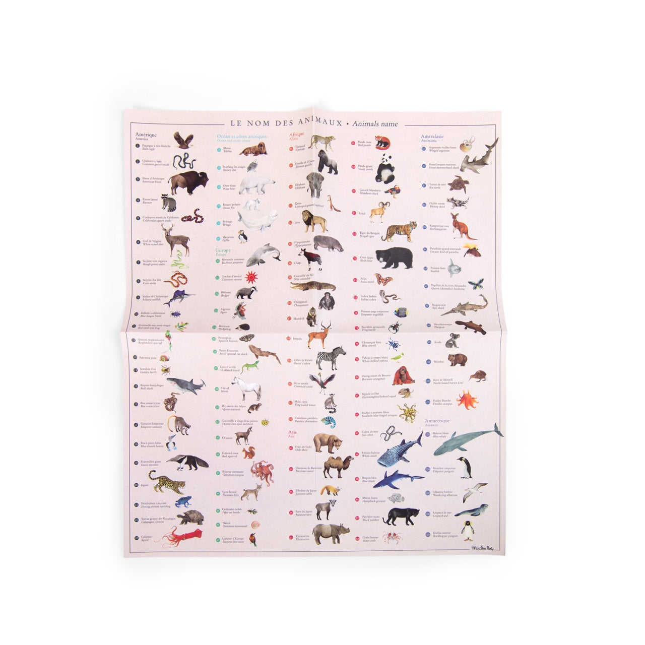 Text alternativ imagine