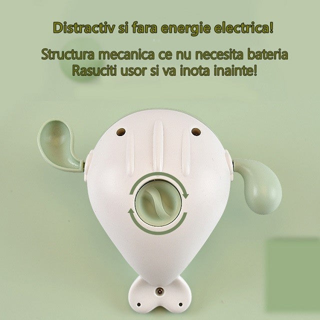 Text alternativ imagine