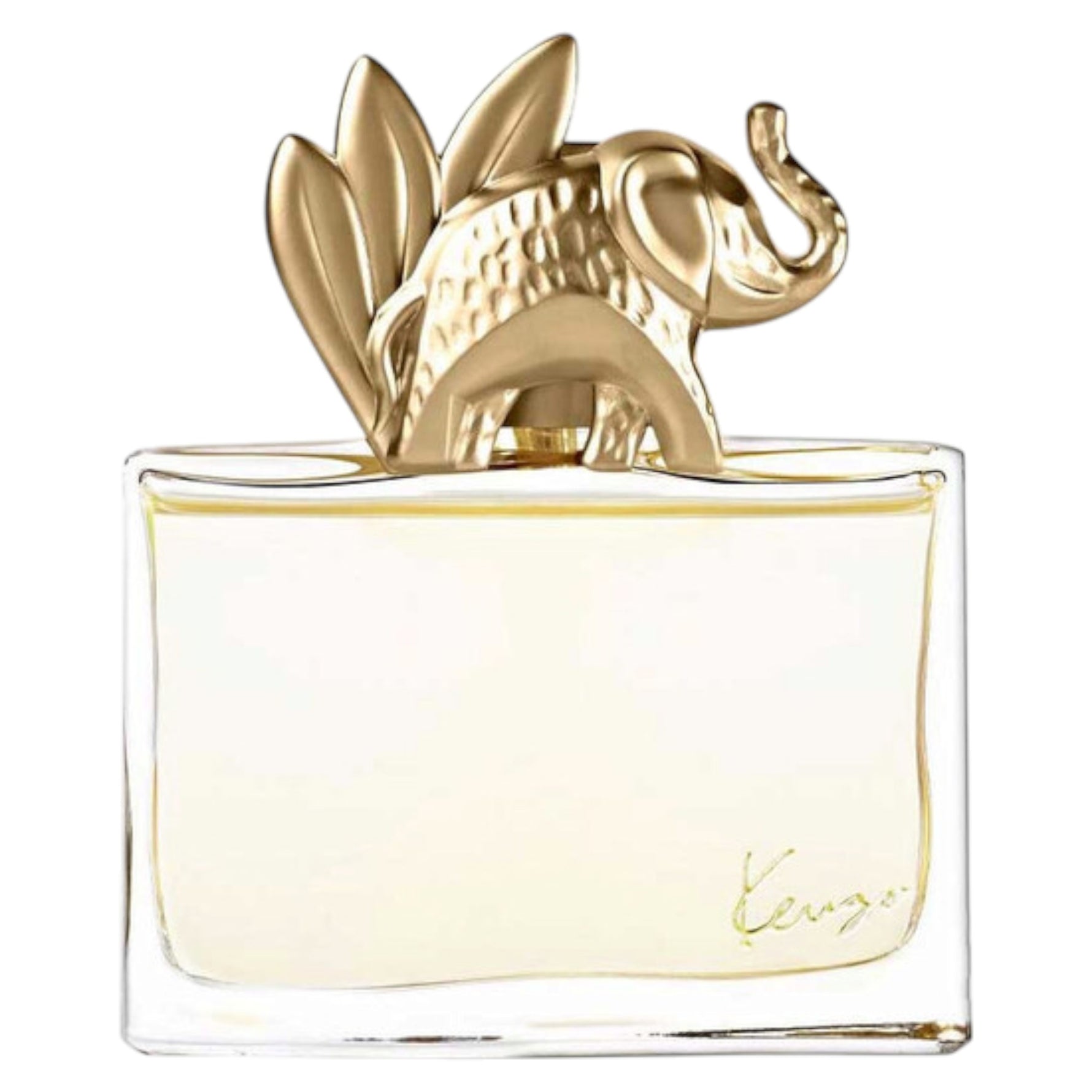 Kenzo, Jungle L' Elephant , Apă de parfum, Pentru femei, 100 ml