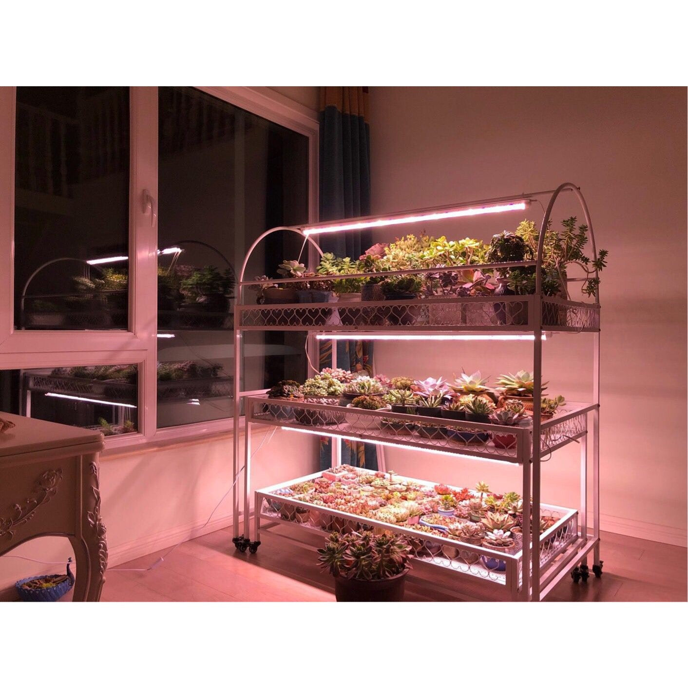 Lampa dubla pentru cresterea plantelor Flippy, 50 cm, T5, tehnologie LED, nu afecteaza plantele, potrivit pentru