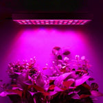 Lampa LED 15W Flippy, pentru cresterea plantelor in interior, material ABS, cu agatatoare, 25 x 25 cm, multicolor