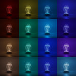 Lampa LED decorativa, Flippy, 3D, Meduza, din material acril si lumina multicolora, alb