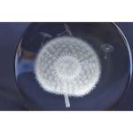 Lampa LED Decorativa, Flippy, cu Bila de Cristal cu Diametru 6cm, Model Papadie 3D, Alimentare USB, Suport din Lemn,