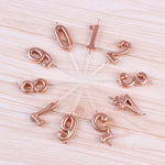 Lumanare de Tort, Flippy, Model Cifra 6, Party, 4.5 x 2.5 cm, din Parafina, Rose Gold