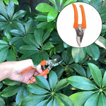 Set 12 Unelte de Gradina, Flippy, pentru Plantare Prelucrare Sol si Ingrijire Plante, Manere Portocalii, Material PVC