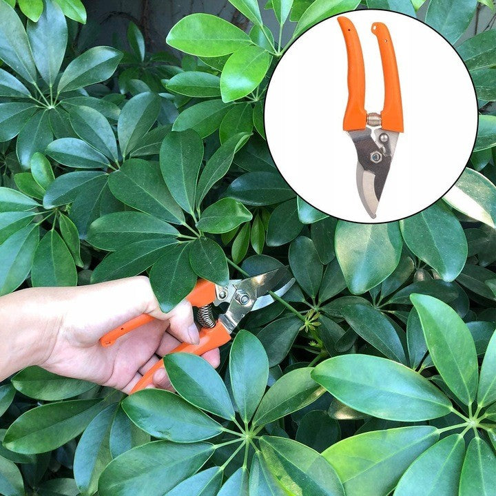 Set 12 Unelte de Gradina, Flippy, pentru Plantare Prelucrare Sol si Ingrijire Plante, Manere Portocalii, Material PVC