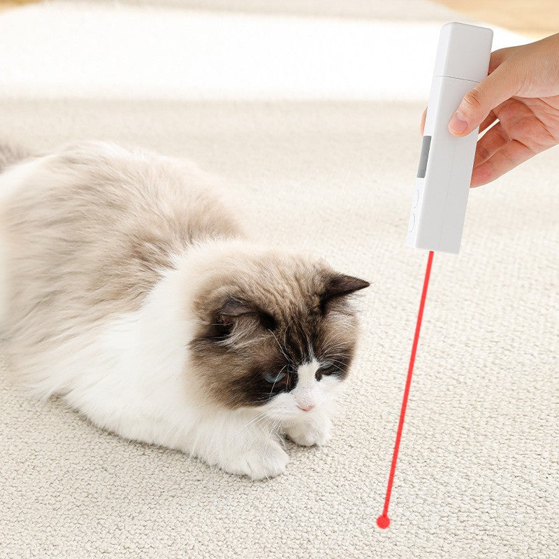 Text alternativ imagine