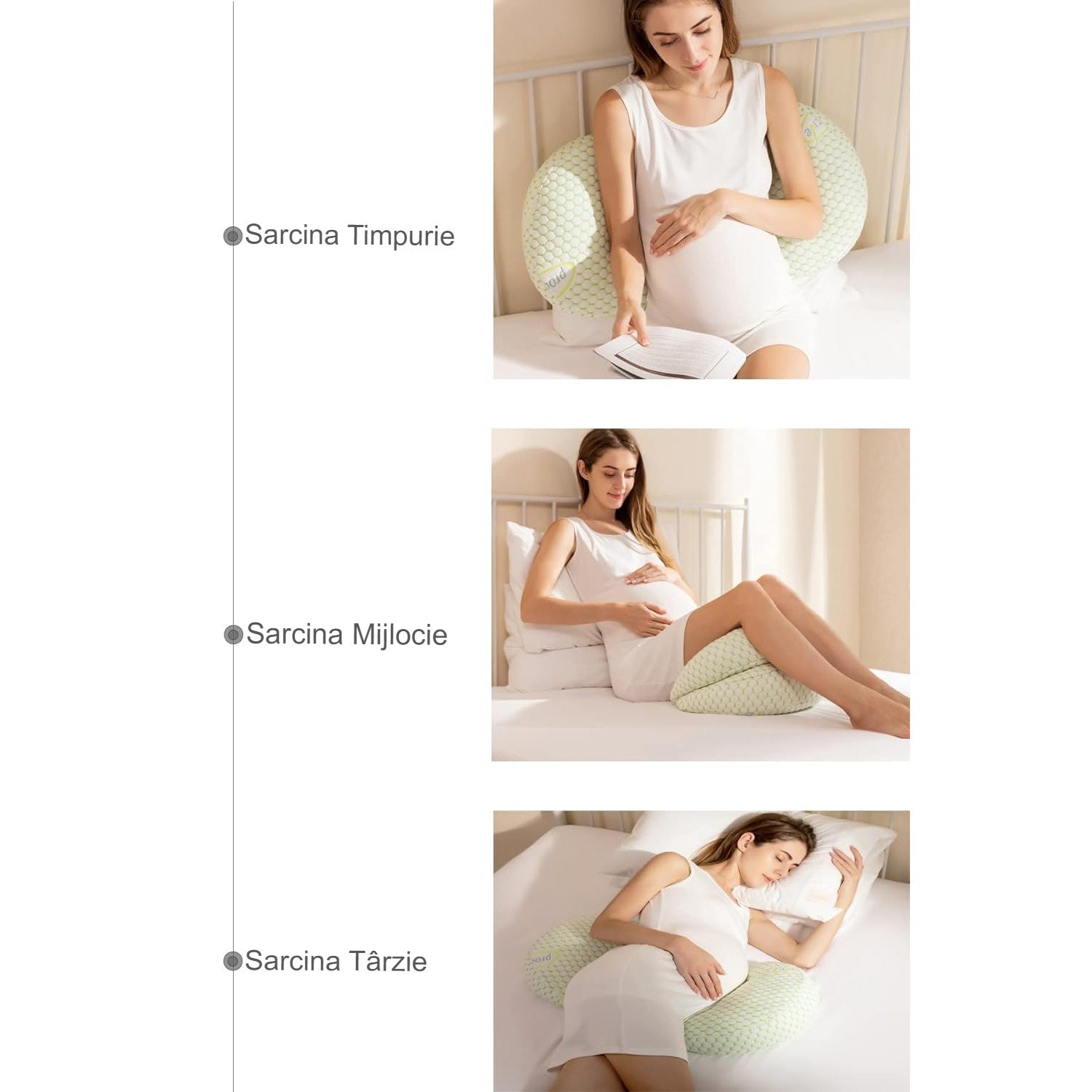 Text alternativ imagine