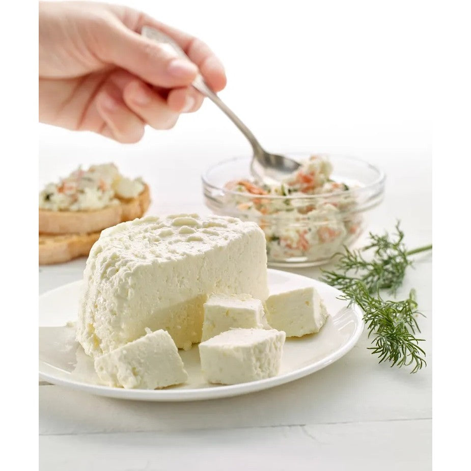 Recipient pentru Preparat Branza, Flippy, Capac de Silicon, Cheese Maker din Plastic, Strecuratoare, 17x14.5x12.8 cm,