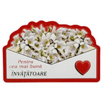 Martisor pentru Invatatoare, Flippy, Set 24 Bucati, Magnet Martisor pentru Frigider, Mesaj pentru Invatatoare, 10 x 6