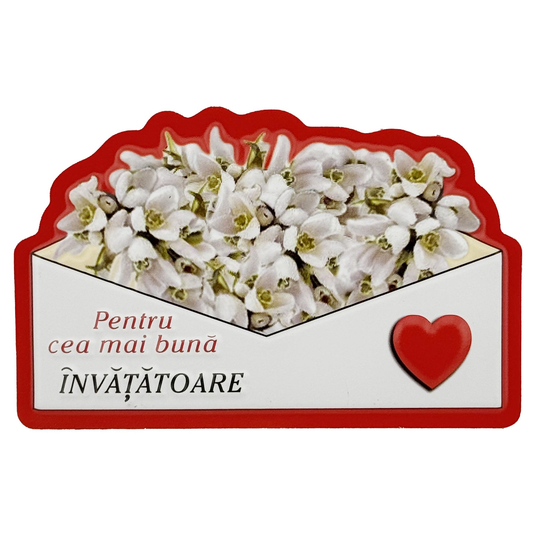 Martisor pentru Invatatoare, Flippy, Set 24 Bucati, Magnet Martisor pentru Frigider, Mesaj pentru Invatatoare, 10 x 6