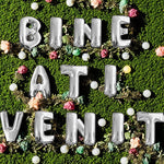 Set Baloane din Folie Metalizata, Flippy, Figurine Litere, Model Bine Ati Venit, Tema Aniversare, 40 cm, Ambalaj