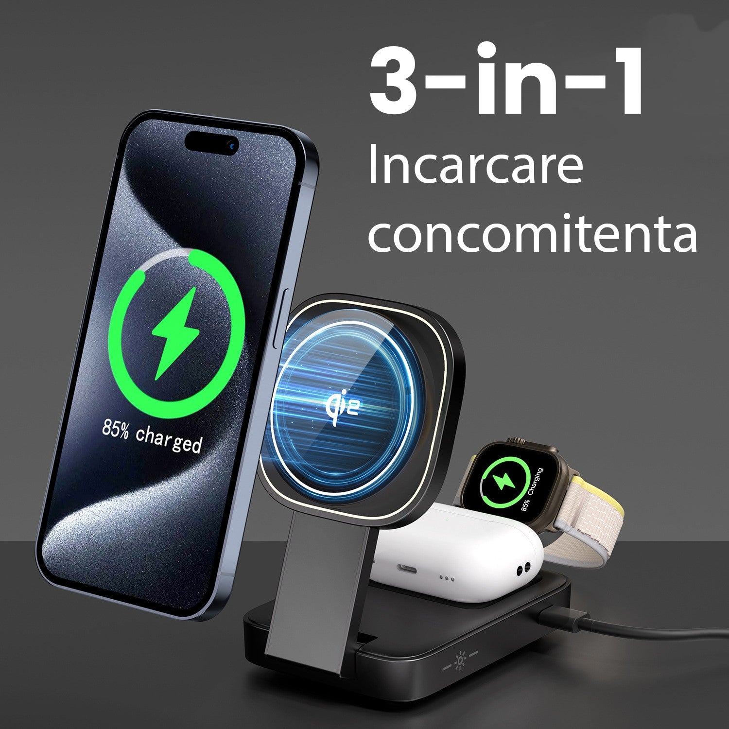 Text alternativ imagine