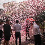 Tun Confetti, Flippy, Best Wishes, Confetti Inimioare si Paiete, 60 x 5 cm, Roz Auriu